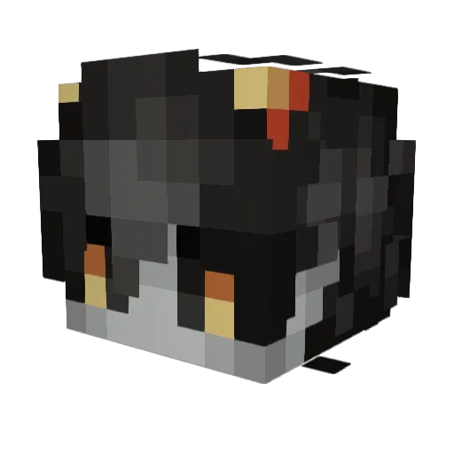 corvinecatalyst Minecraft avatar head, 3D render