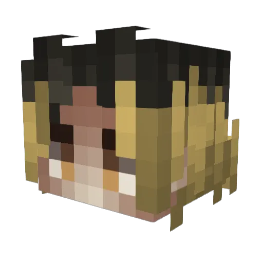 cory199407 Minecraft avatar head, 3D render