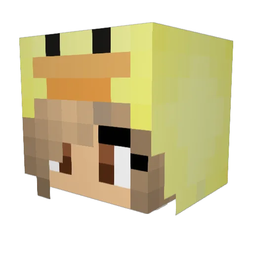 coseybear Minecraft avatar head, 3D render