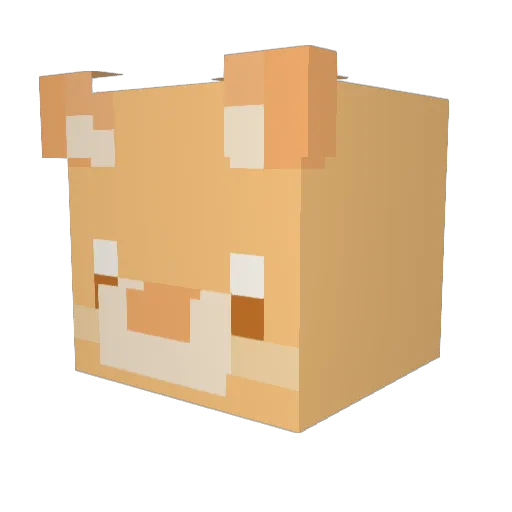cosmic9x Minecraft avatar head, 3D render