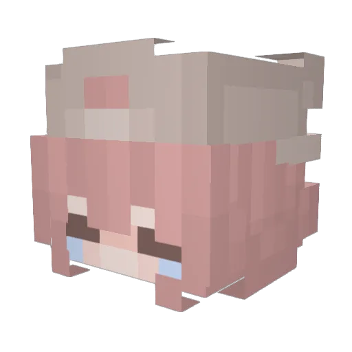cosmic_Phoenix_7 Minecraft avatar head, 3D render