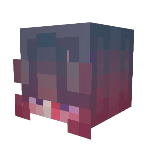 cosmic_is_fantas Minecraft avatar head, 3D render