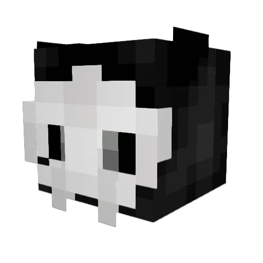 cosmic_pixel Minecraft avatar head, 3D render