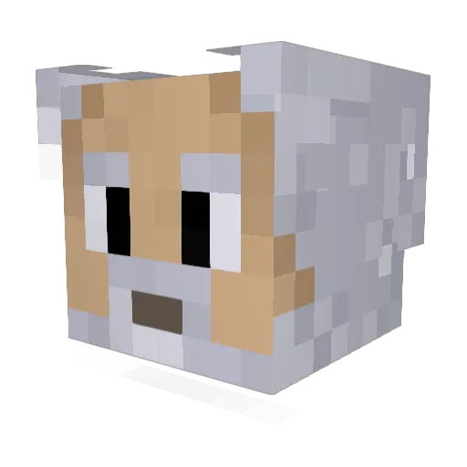 cosmic_truth Minecraft avatar head, 3D render