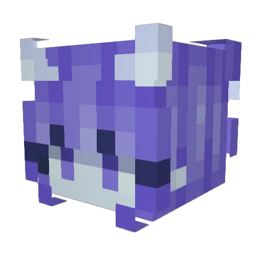 cosmicallyfruity Minecraft avatar head, 3D render