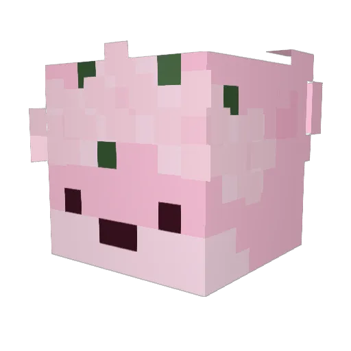 cosmicbear_ Minecraft avatar head, 3D render