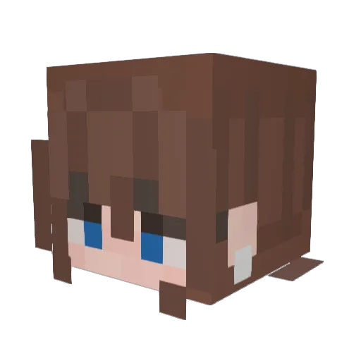 cosmickeely Minecraft avatar head, 3D render