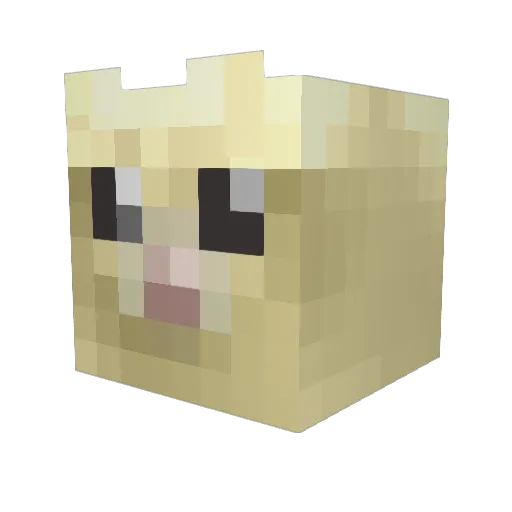 cosmoOSX_ Minecraft avatar head, 3D render