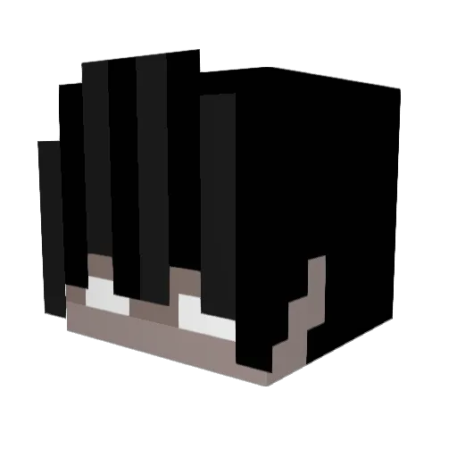 cosmopeter Minecraft avatar head, 3D render