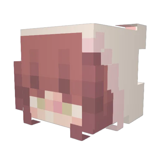 coso Minecraft avatar head, 3D render