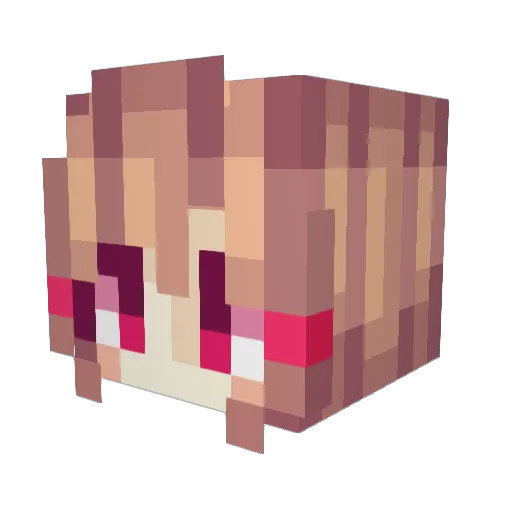 cosorro Minecraft avatar head, 3D render