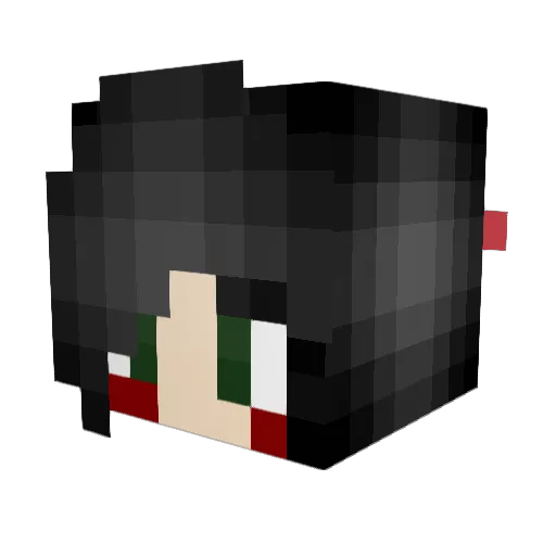 cosplayed Minecraft avatar head, 3D render