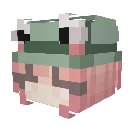 cosytime Minecraft avatar head, 3D render