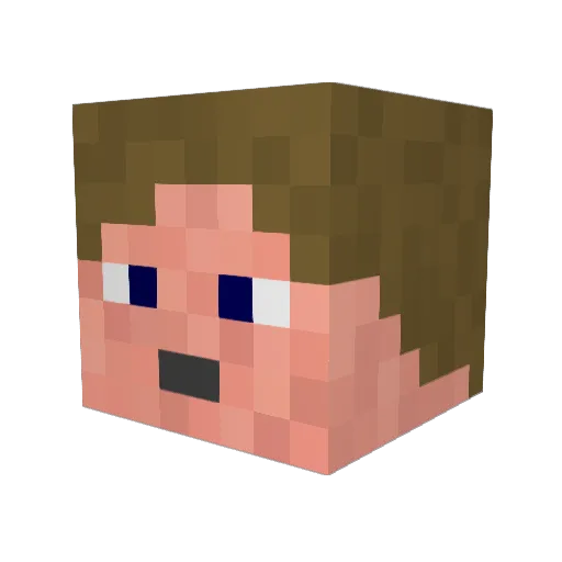 cotasc Minecraft avatar head, 3D render