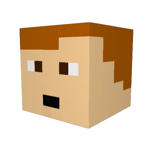 cotinren Minecraft avatar head, 3D render