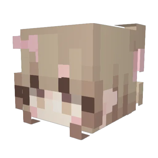 cotjer Minecraft avatar head, 3D render