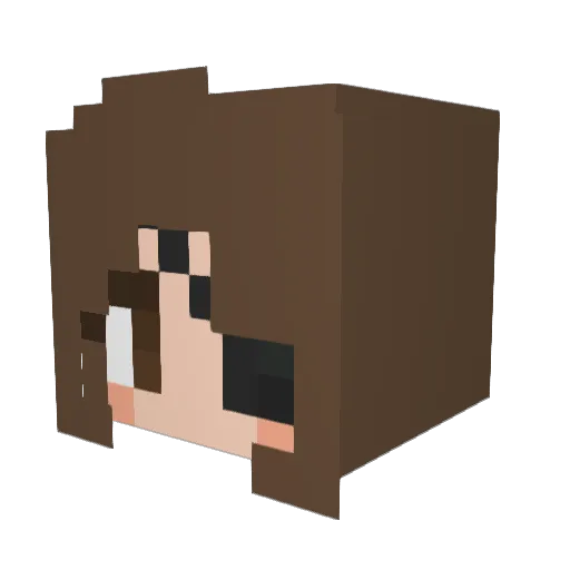 cotontigre_ Minecraft avatar head, 3D render