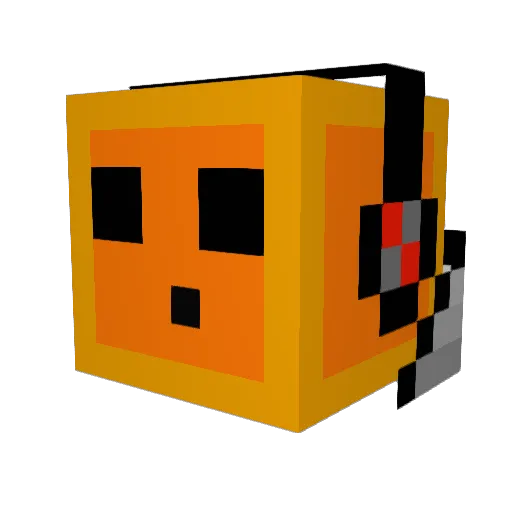 cotorroo Minecraft avatar head, 3D render