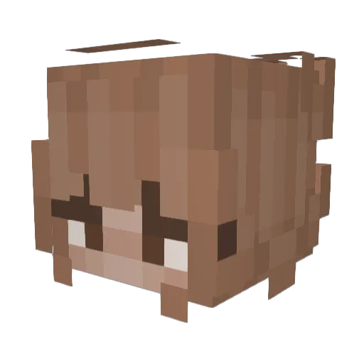 cottagecake Minecraft avatar head, 3D render