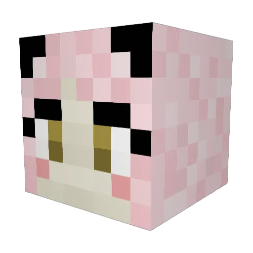 cotten_picker420 Minecraft avatar head, 3D render