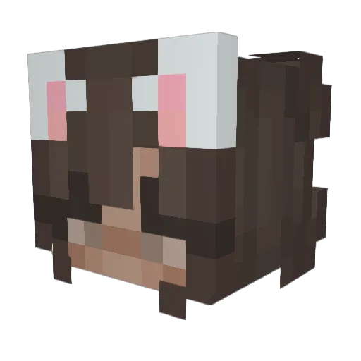 cottoncandy10124 Minecraft avatar head, 3D render