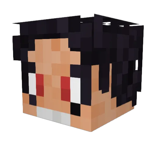 cottonpickernigg Minecraft avatar head, 3D render