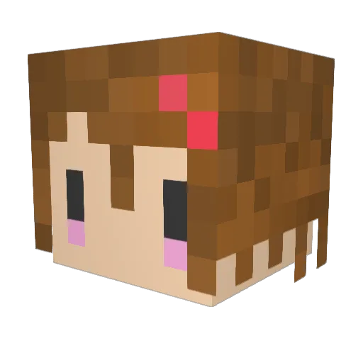 cottontowel Minecraft avatar head, 3D render