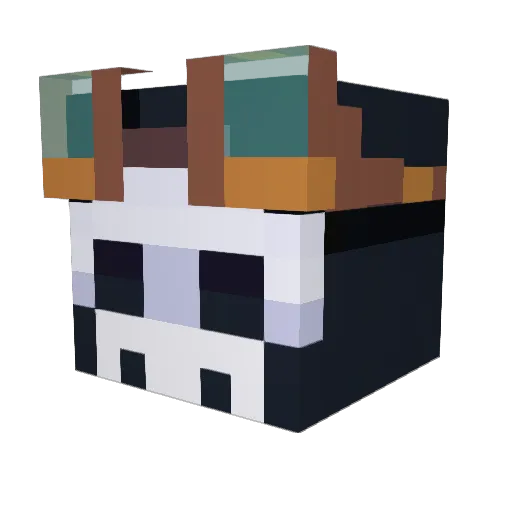 cotydll Minecraft avatar head, 3D render