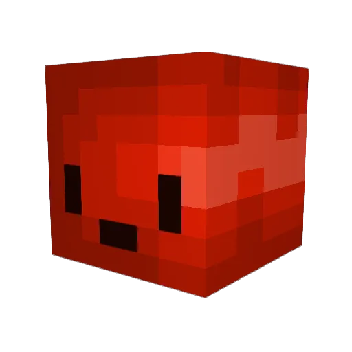 couaggaa Minecraft avatar head, 3D render