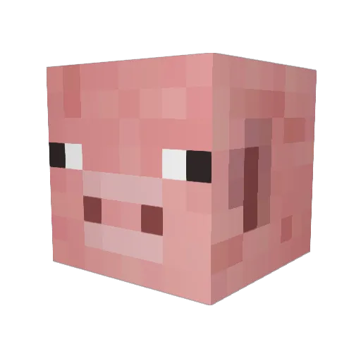 couldbecaroline Minecraft avatar head, 3D render