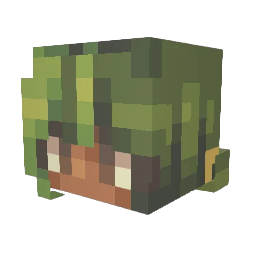 couldbetd Minecraft avatar head, 3D render