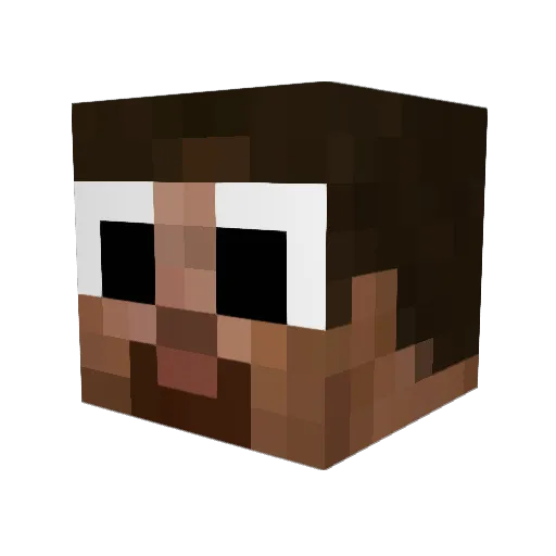 counter2056 Minecraft avatar head, 3D render