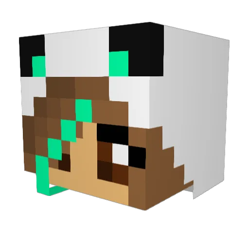 counterbinkie Minecraft avatar head, 3D render