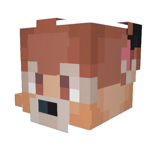 countertaha Minecraft avatar head, 3D render
