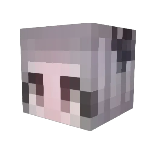 countmisha Minecraft avatar head, 3D render