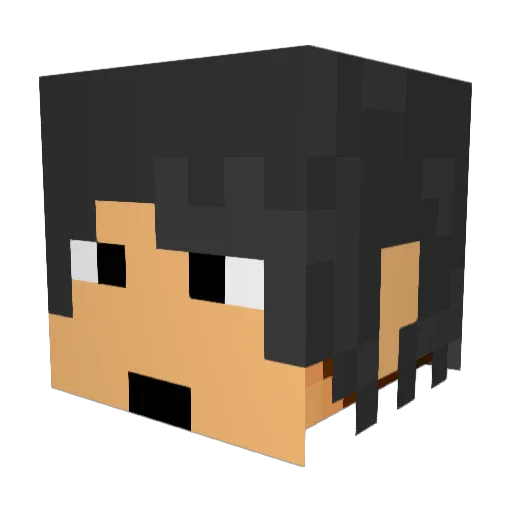 countrybook55 Minecraft avatar head, 3D render