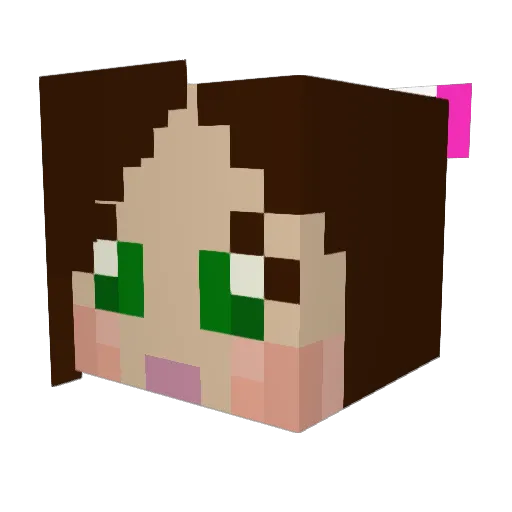 countryboy771881 Minecraft avatar head, 3D render