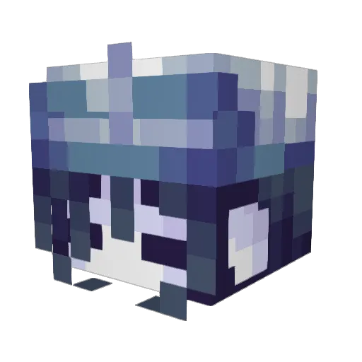 countrymaus Minecraft avatar head, 3D render