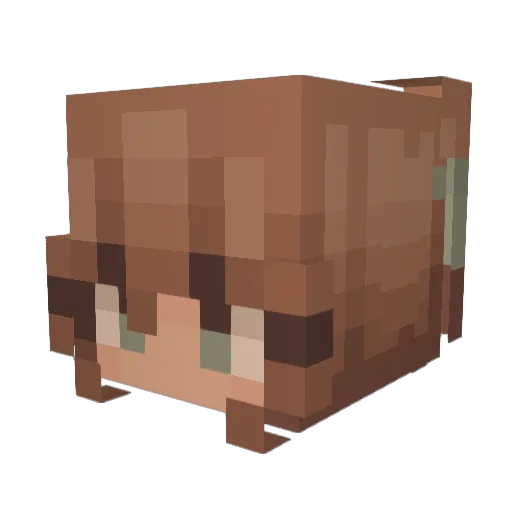 countryqueen13 Minecraft avatar head, 3D render