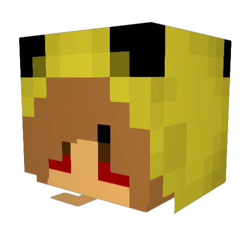 court_01 Minecraft avatar head, 3D render