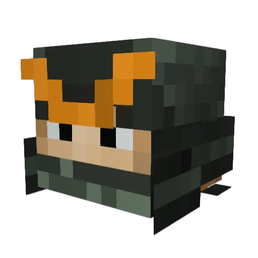 courty99 Minecraft avatar head, 3D render