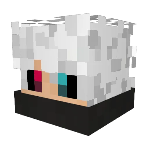 coutox666 Minecraft avatar head, 3D render