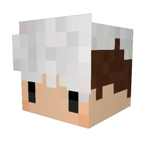 covellou Minecraft avatar head, 3D render