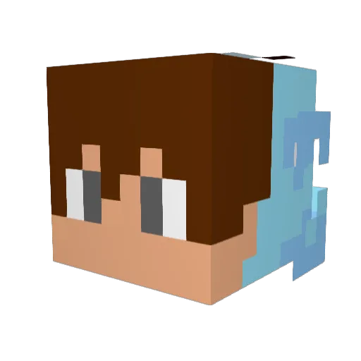 coveragee Minecraft avatar head, 3D render