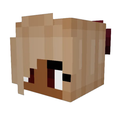 coverbeck21 Minecraft avatar head, 3D render