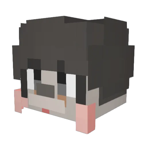 covin0098 Minecraft avatar head, 3D render