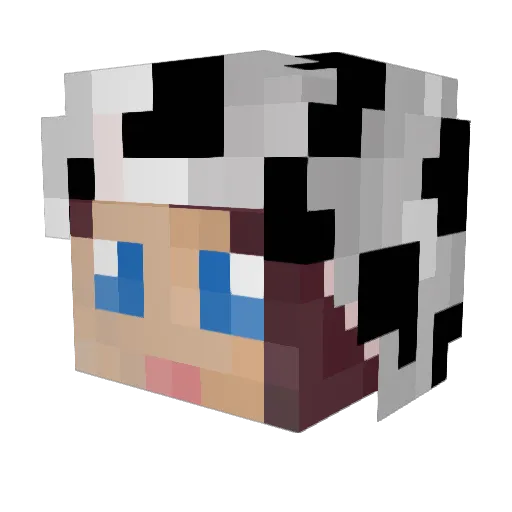 cowasocki Minecraft avatar head, 3D render