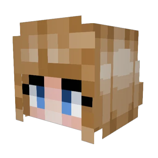 cowboii_ Minecraft avatar head, 3D render