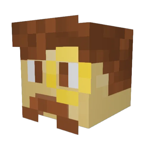 cowboy43 Minecraft avatar head, 3D render