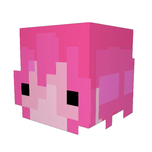cowboycanyon Minecraft avatar head, 3D render